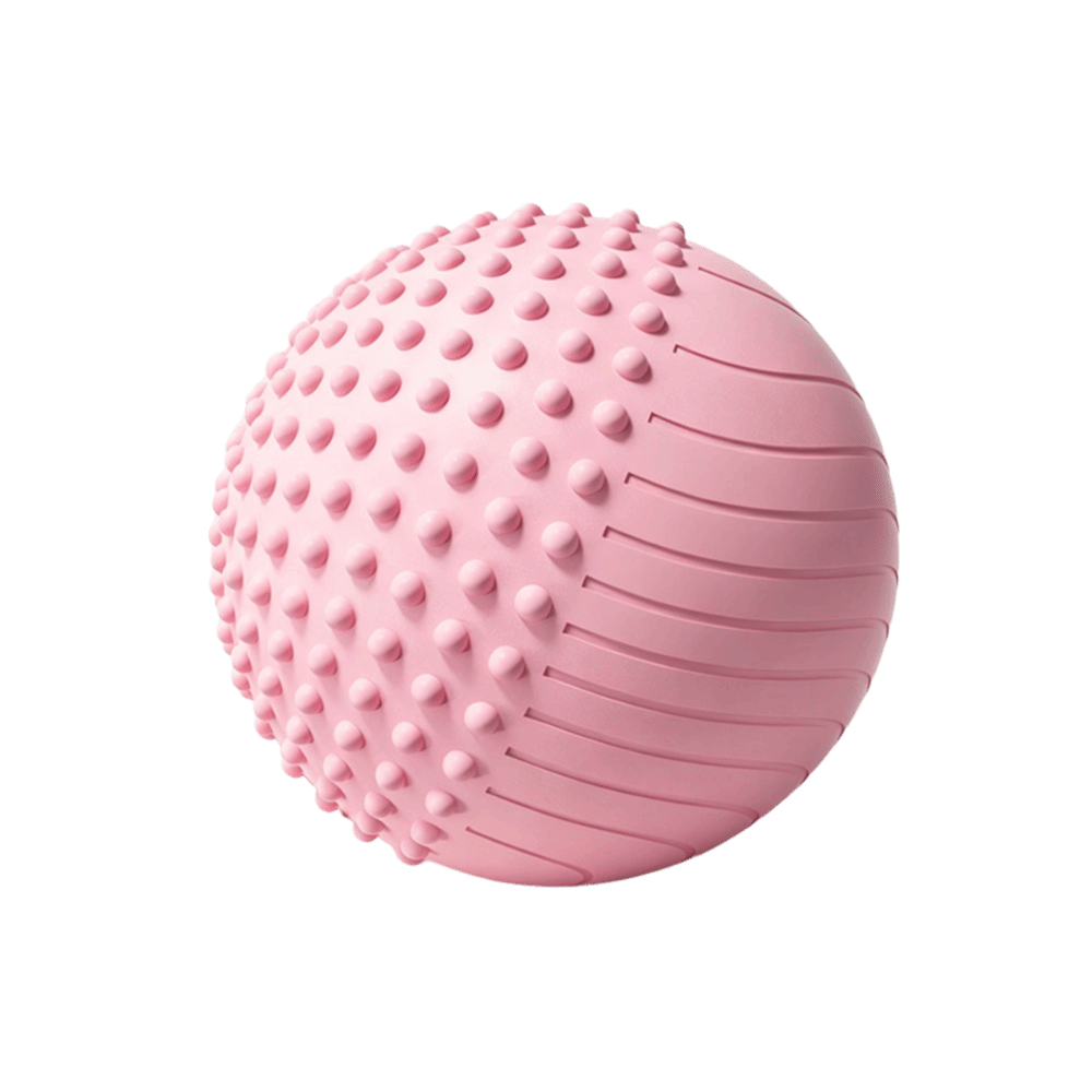 Palla da Pilates per uso domes - Pilates Yoga Ball Workout recensione e prezzo